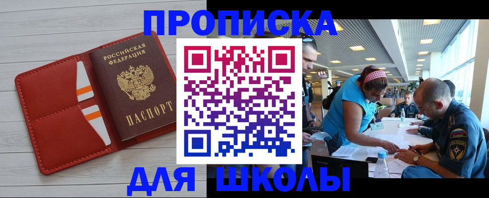 прописка гарантия в Нелидово
